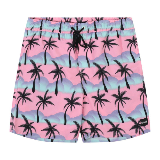 Hurley Ανδρικό μαγιό Cannonball Volley Boardshorts 17"
